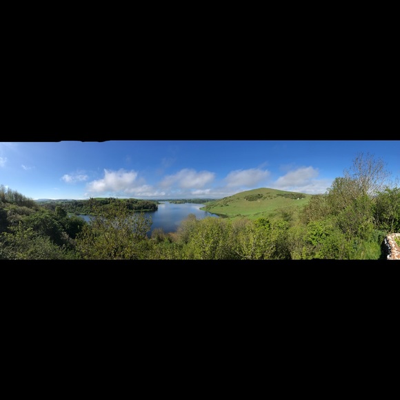 Meet your Posher, Ronnie - Picture 1 of 1